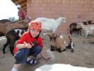 Biofarma Slunen - Va a kozy 1