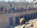 SAS akce návštěva Zoo - U mědvědů - únor 2022